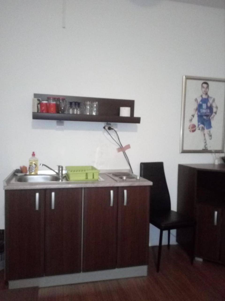 Apartment Viktor Stan Na Dan Šabac Eksteriør billede